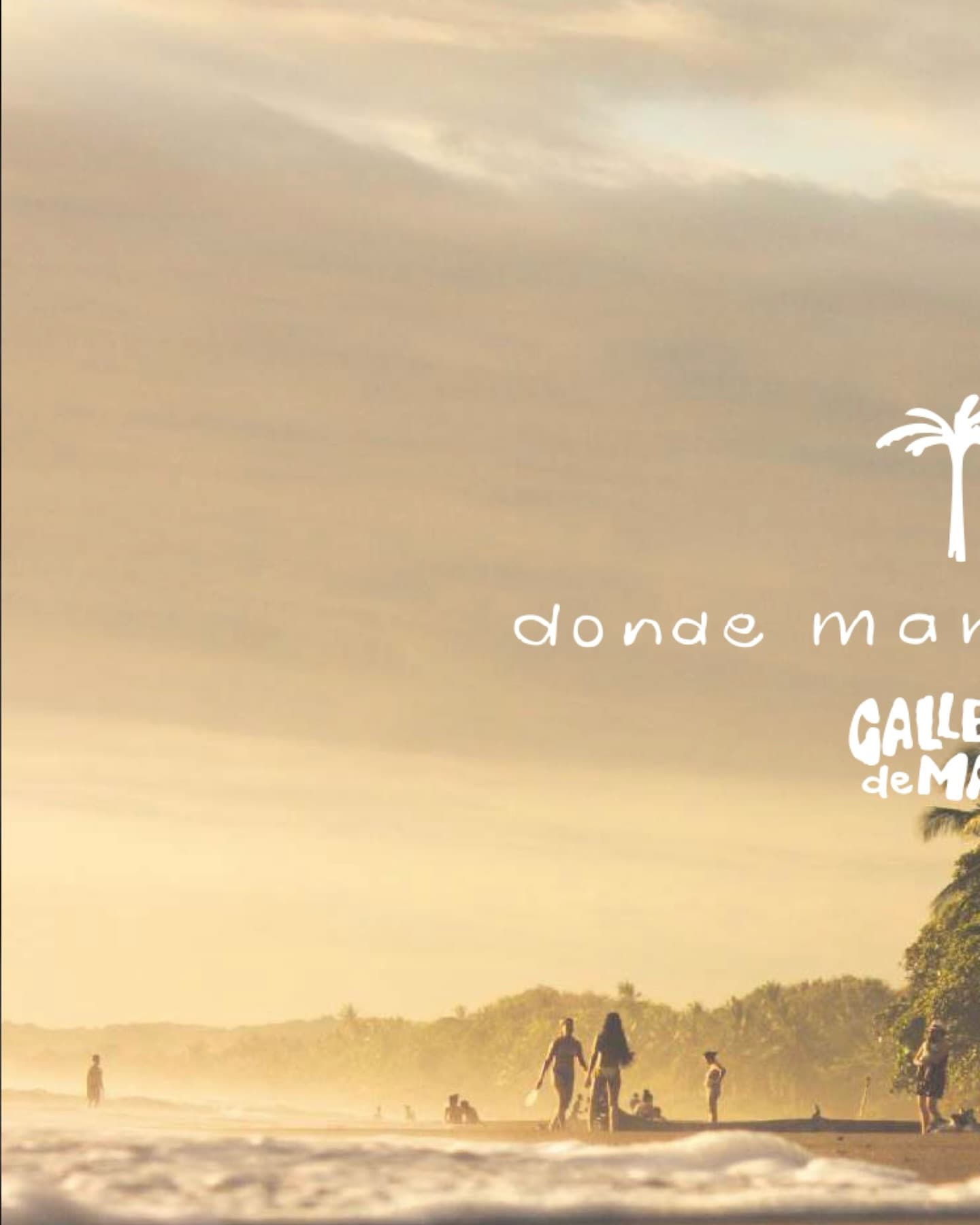Galleta de Mar — Vibe